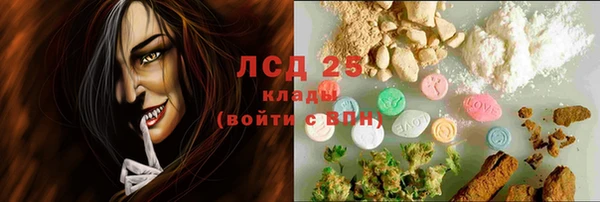 СК Бородино