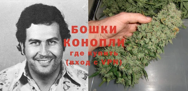 СК Бородино