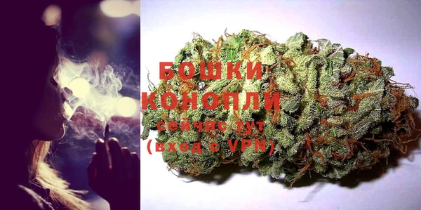 СК Бородино