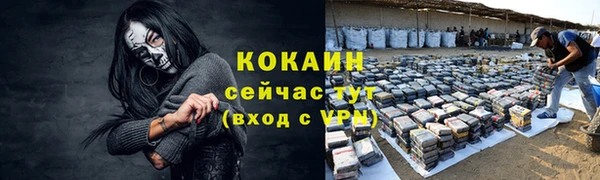СК Бородино