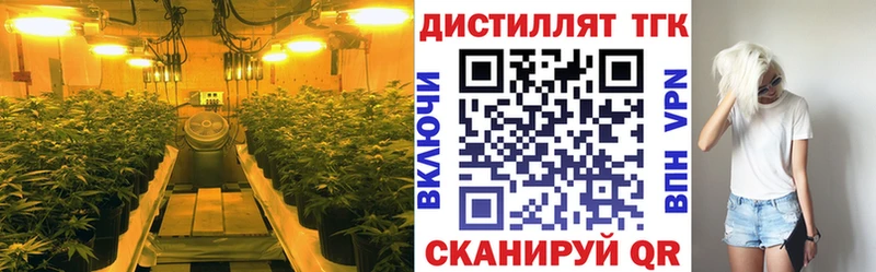 закладки  Златоуст  Дистиллят ТГК THC oil 