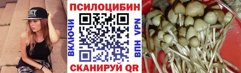 это наркотические препараты Златоуст Псилоцибиновые грибы Psilocybe